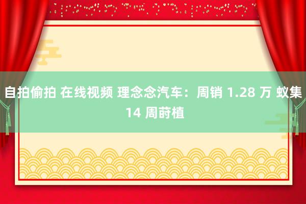 自拍偷拍 在线视频 理念念汽车：周销 1.28 万 蚁集 14 周莳植