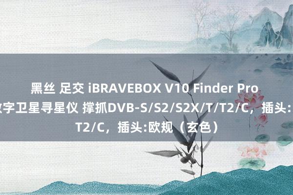 黑丝 足交 iBRAVEBOX V10 Finder Pro 4.3英寸屏数字卫星寻星仪 撑抓DVB-S/S2/S2X/T/T2/C，插头:欧规（玄色）