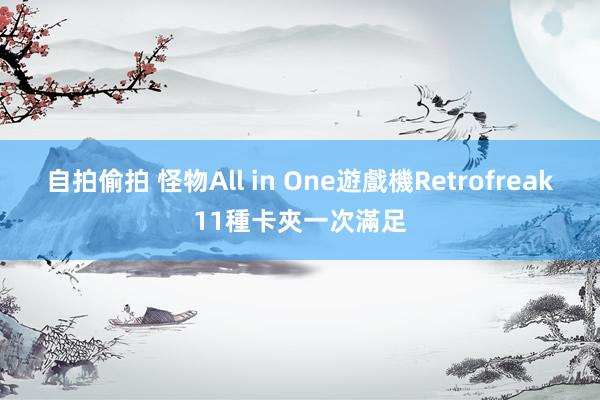 自拍偷拍 怪物All in One遊戲機Retrofreak　11種卡夾一次滿足